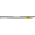 Easton X10 Parallel Pro 4.2mm 12er Set