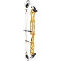 AGS Vertex 38