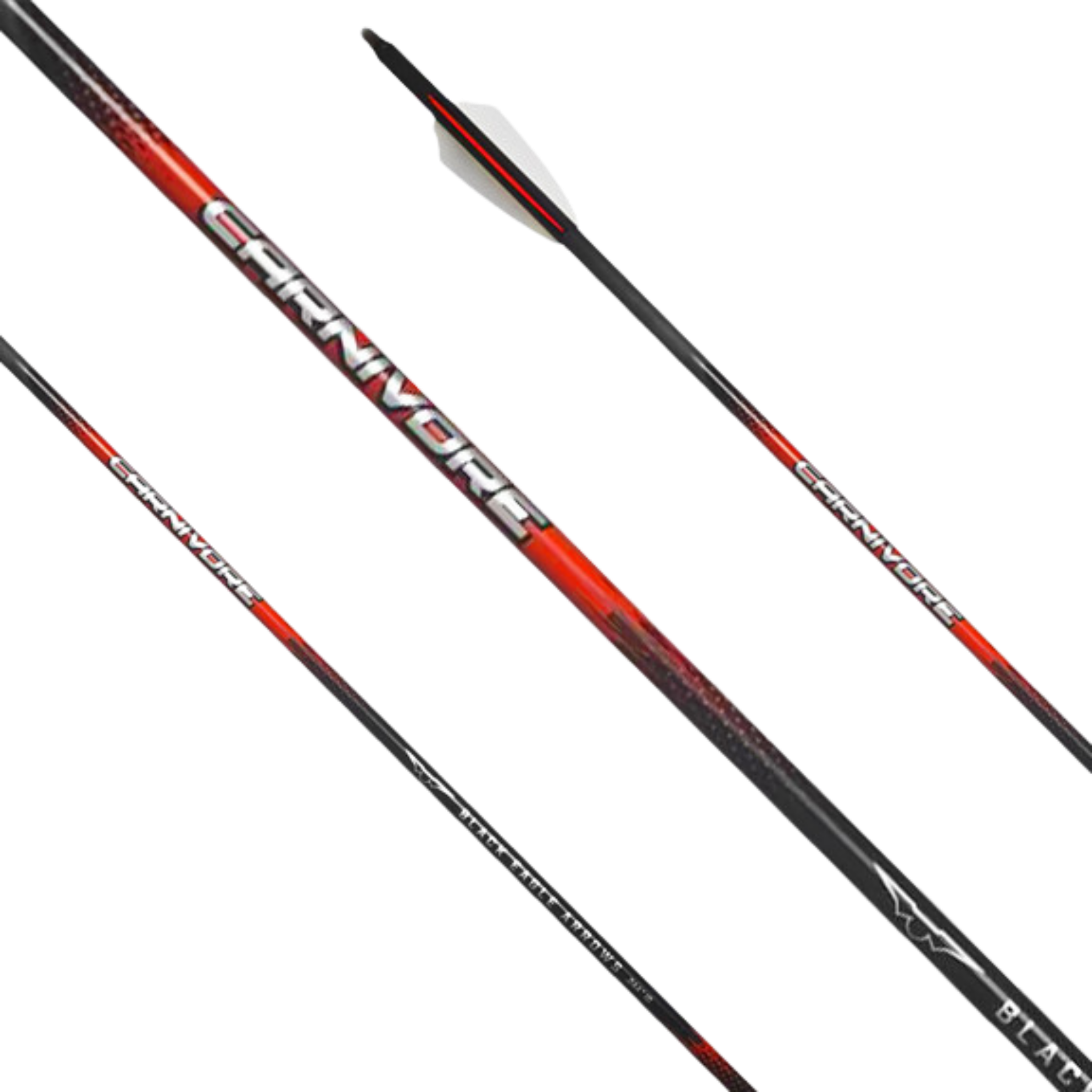 Black Eagle Carnivore 2025 12er Set
