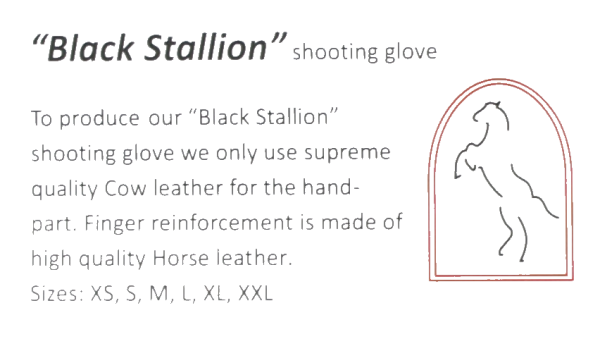 Black Stallion Handschuh