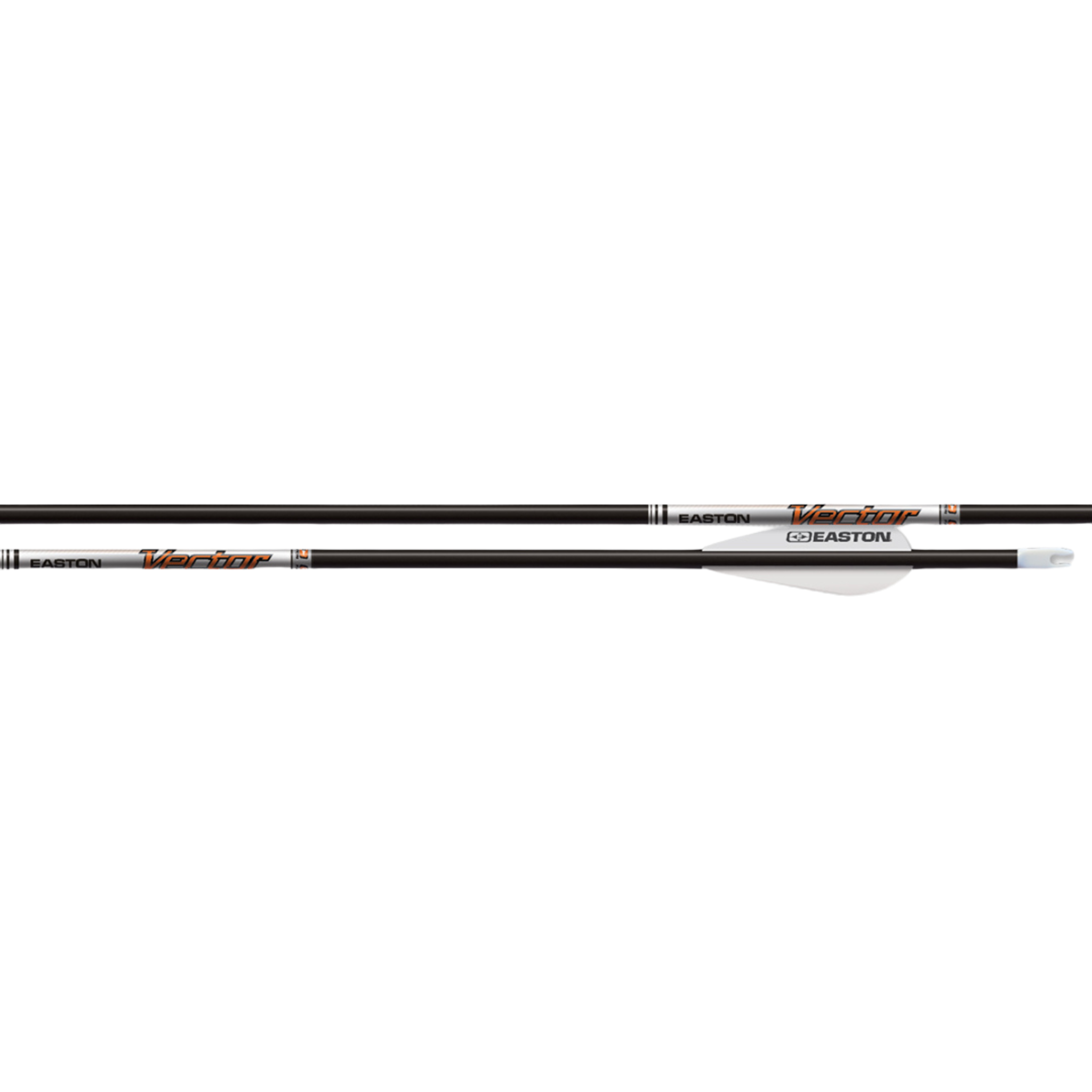 Easton Vector 12er Set