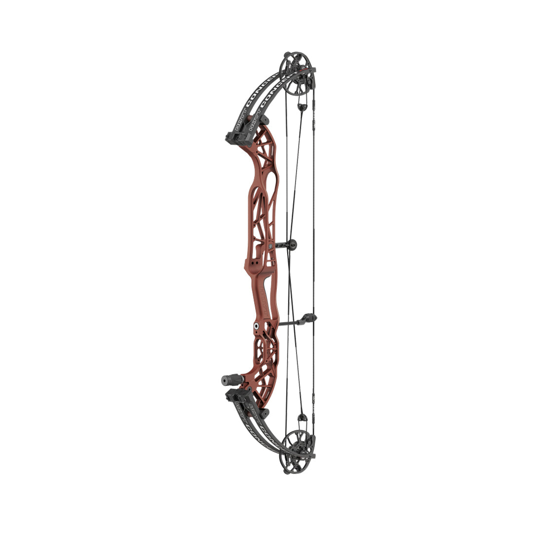 Hoyt Concept XTS 37 CDM-Mod Schwarze Wurfarme