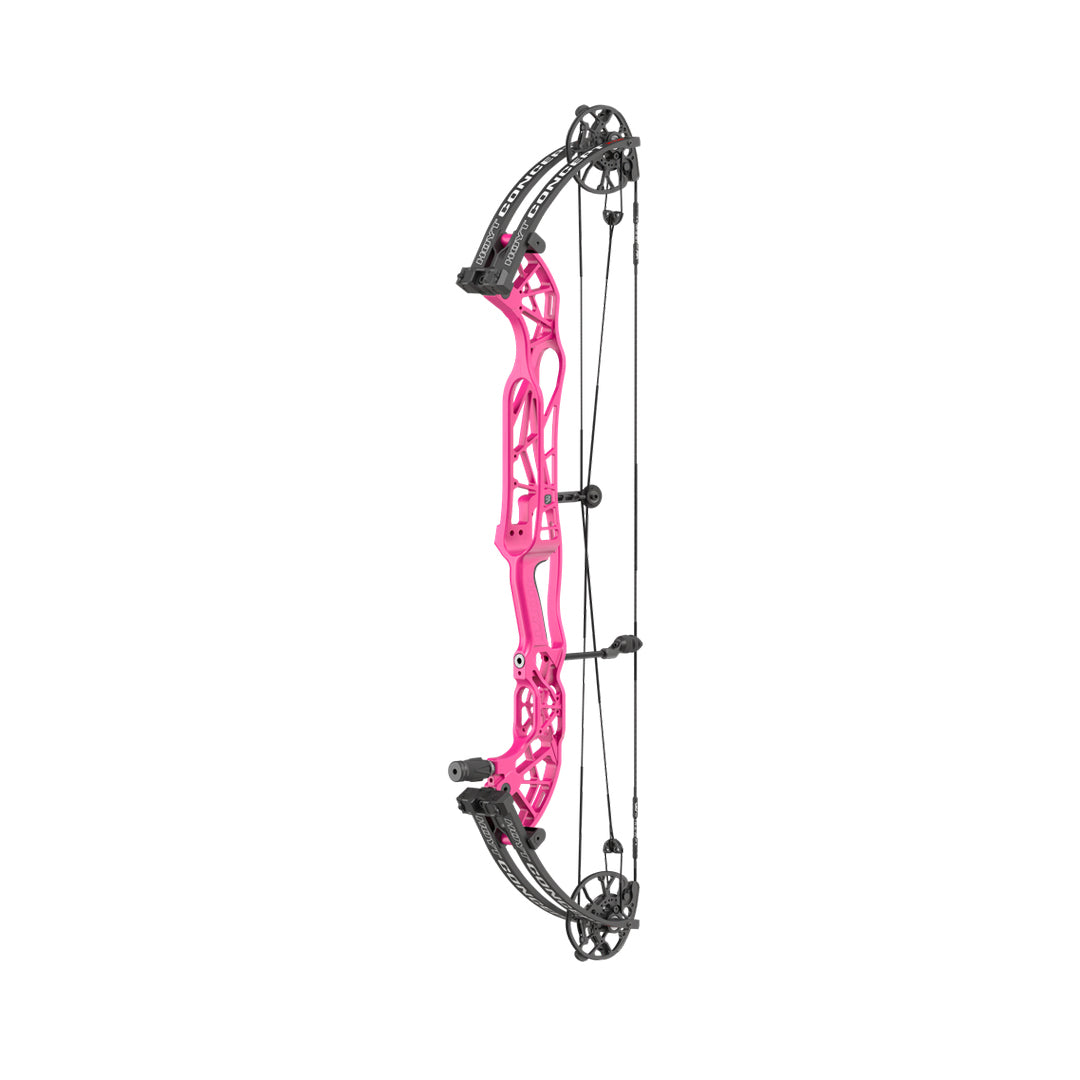 Hoyt Concept XTS 37 TDM-Mod Schwarze Wurfarme