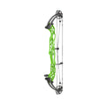 Hoyt Concept XTS 37 TDM-Mod Schwarze Wurfarme