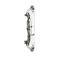 Hoyt Concept XTS 37 TDM-Mod Weiße Wurfarme