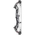 Hoyt Concept FX Compoundbogen - schwarze Wurfarme