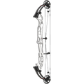 Hoyt Concept X 37 Compoundbogen - schwarze Wurfarme