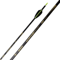 Skylon Inceptor X