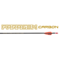 Skylon Paragon