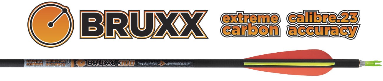Skylon Bruxx 12er Set Fertigpfeil