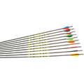 X-Line Mach 3.1 Fertigpfeil