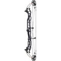 Hoyt Concept X 40 Compoundbogen - weiße Wurfarme