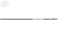 Easton Avance Sport 12er Set Fertigpfeil
