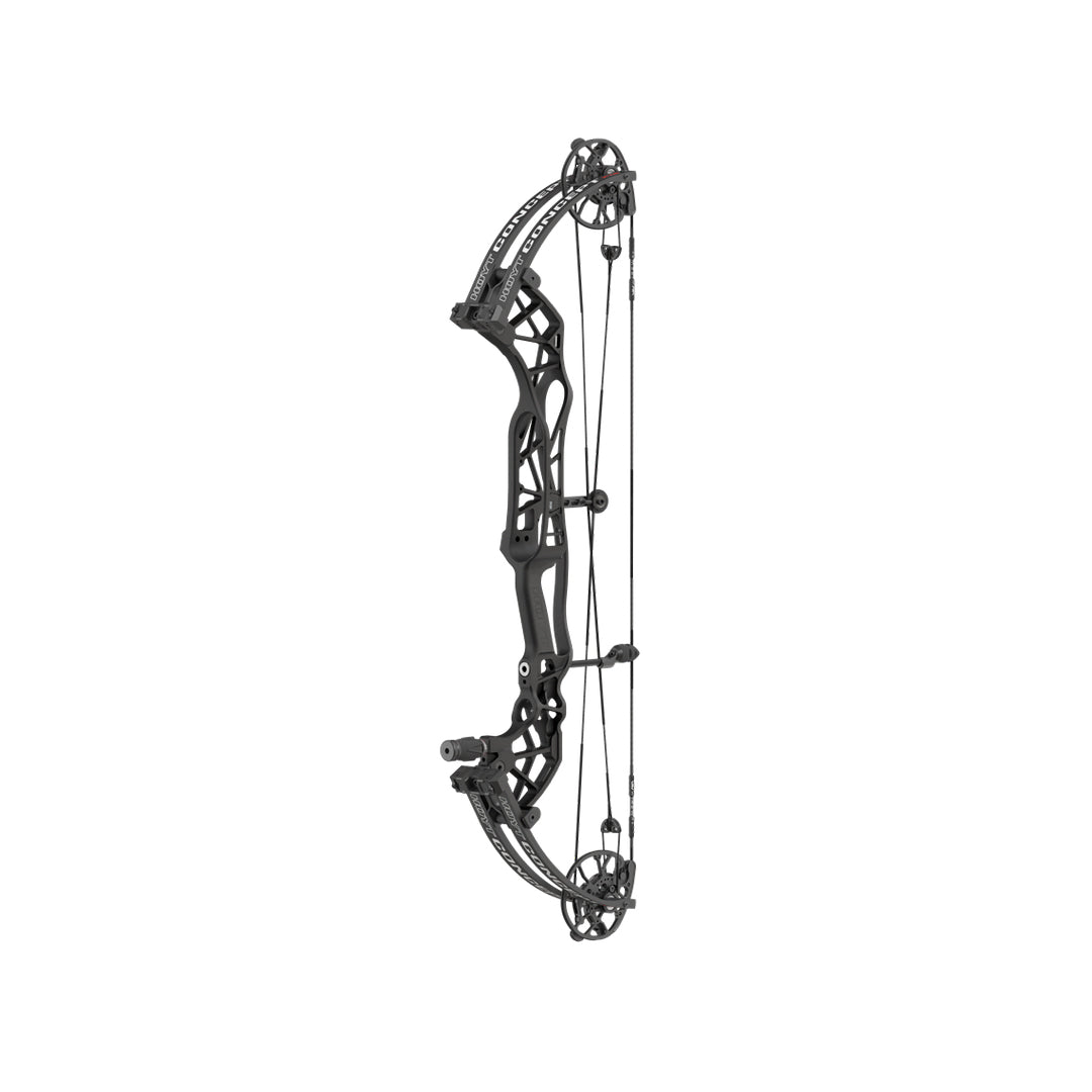 Hoyt Concept XTS 34 CDM-Mod Schwarze Wurfarme