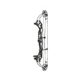 Hoyt Concept XTS 34 CDM-Mod Weiße Wurfarme