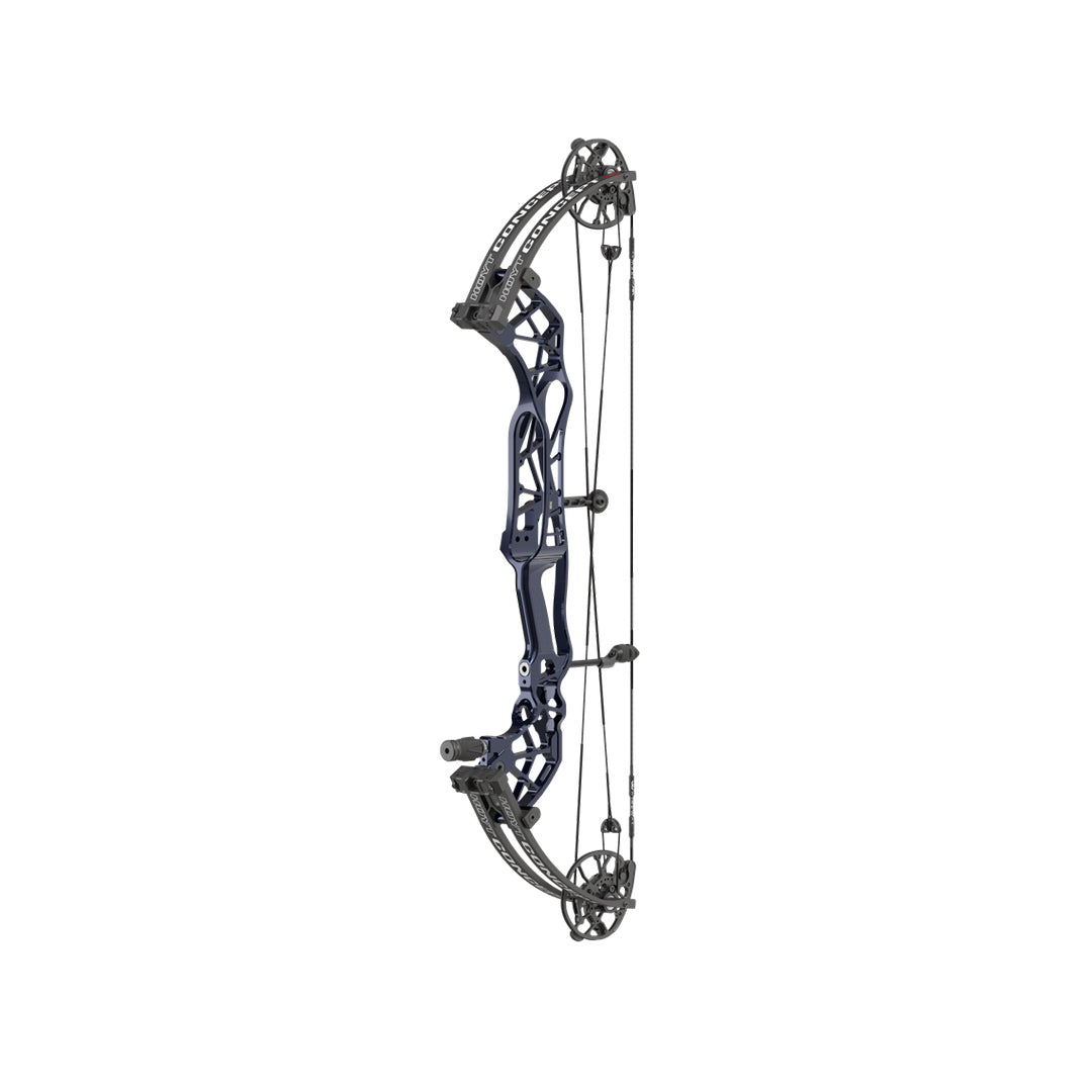 Hoyt Concept XTS 34 CDM-Mod Schwarze Wurfarme