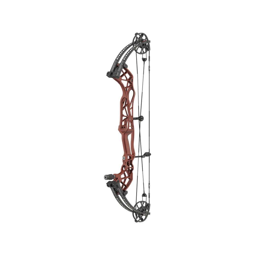 Hoyt Concept XTS 34 CDM-Mod Schwarze Wurfarme