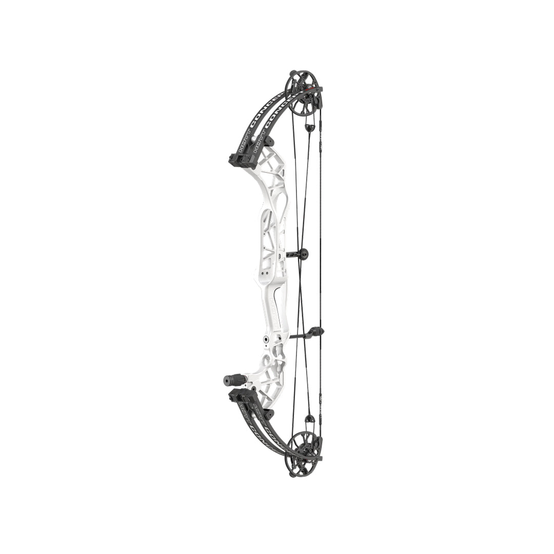 Hoyt Concept XTS 34 CDM-Mod Schwarze Wurfarme