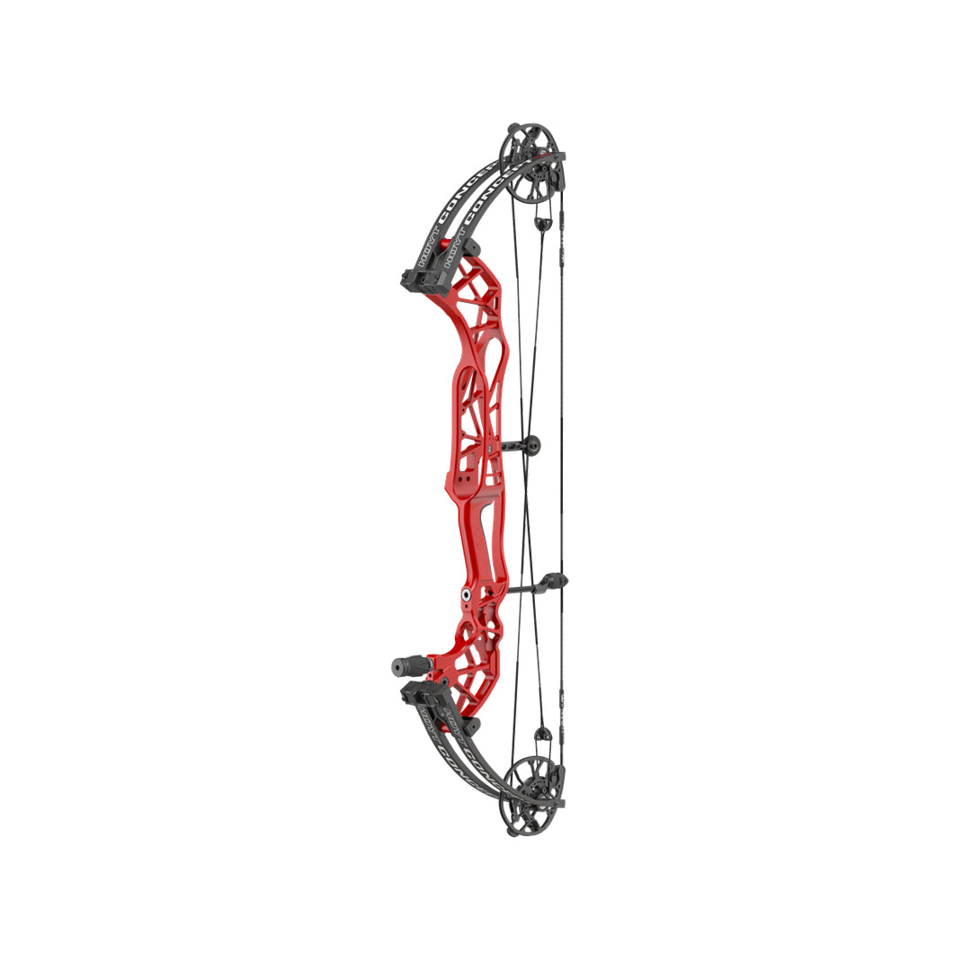 Hoyt Concept XTS 34 CDM-Mod Schwarze Wurfarme