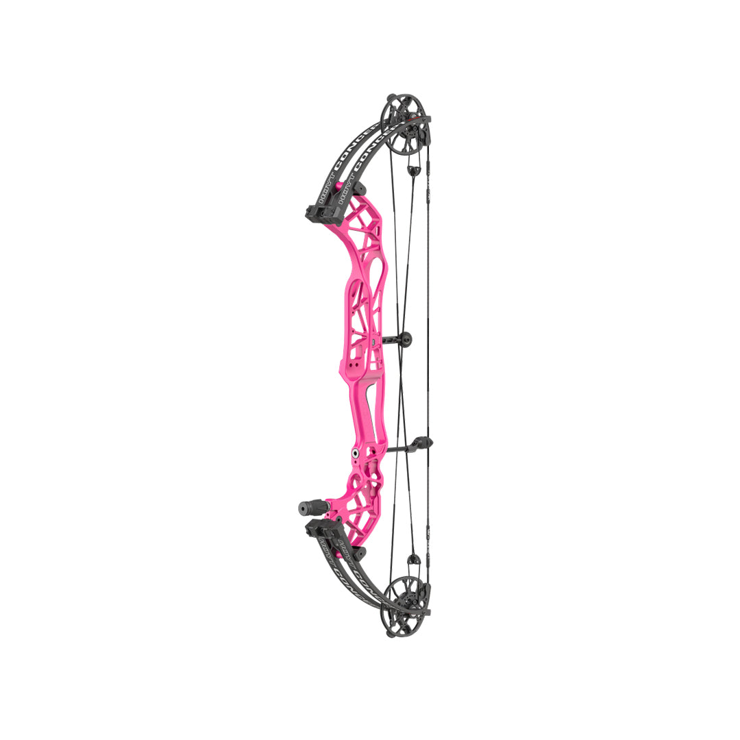 Hoyt Concept XTS 34 TDM-Mod Schwarze Wurfarme
