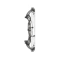 Hoyt Concept XTS 34 CDM-Mod Schwarze Wurfarme
