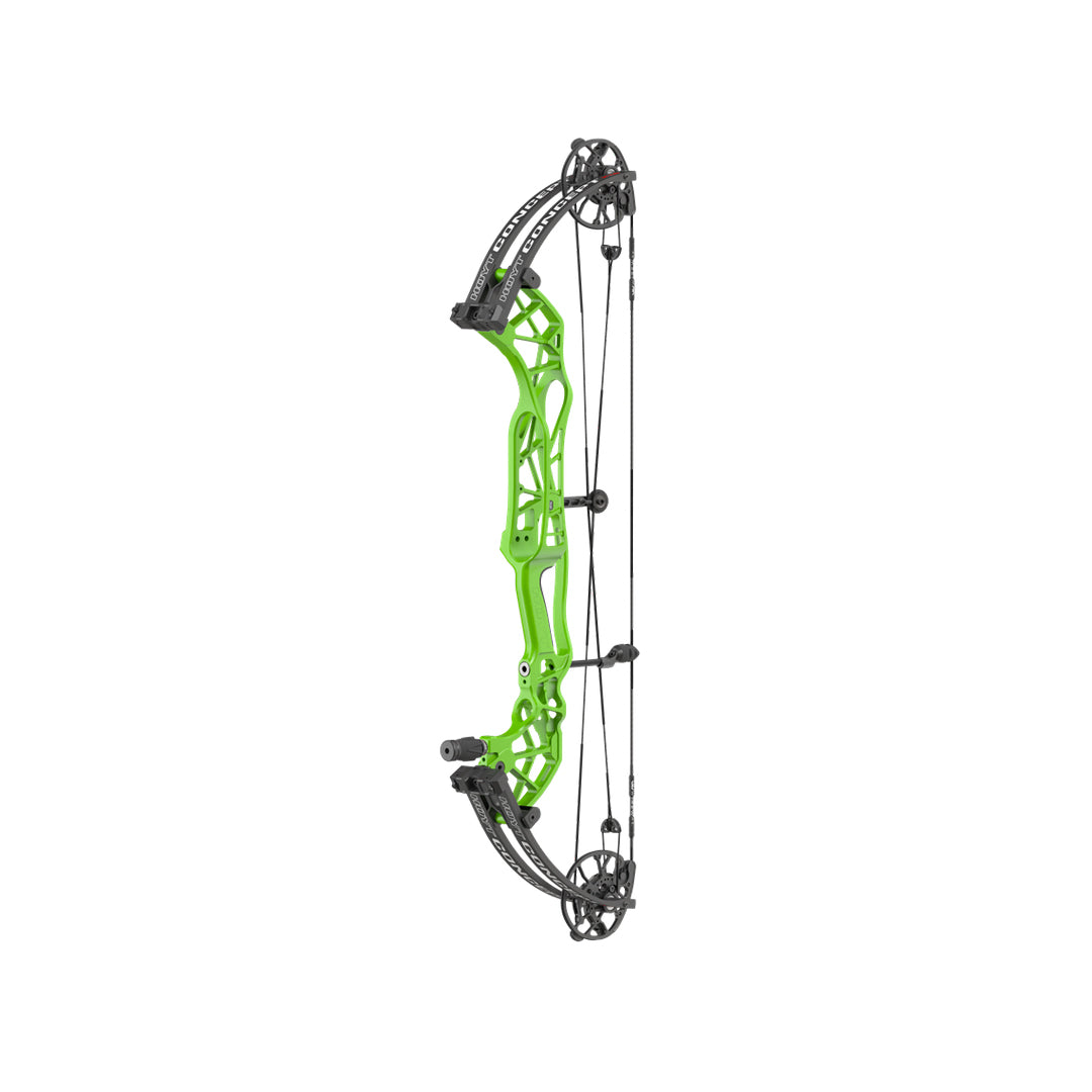 Hoyt Concept XTS 34 TDM-Mod Schwarze Wurfarme
