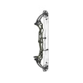 Hoyt Concept XTS 34 TDM-Mod Schwarze Wurfarme