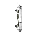 Hoyt Concept XTS 34 TDM-Mod Weiße Wurfarme