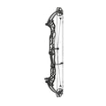 Hoyt Concept XTS 40 TDM-Mod Schwarze Wurfarme