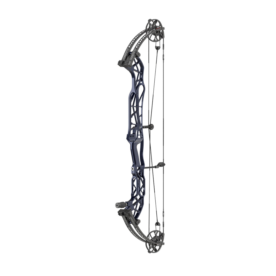 Hoyt Concept XTS 40 TDM-Mod Schwarze Wurfarme