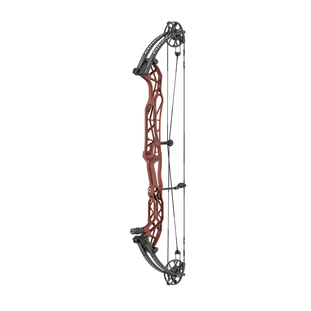 Hoyt Concept XTS 40 TDM-Mod Schwarze Wurfarme