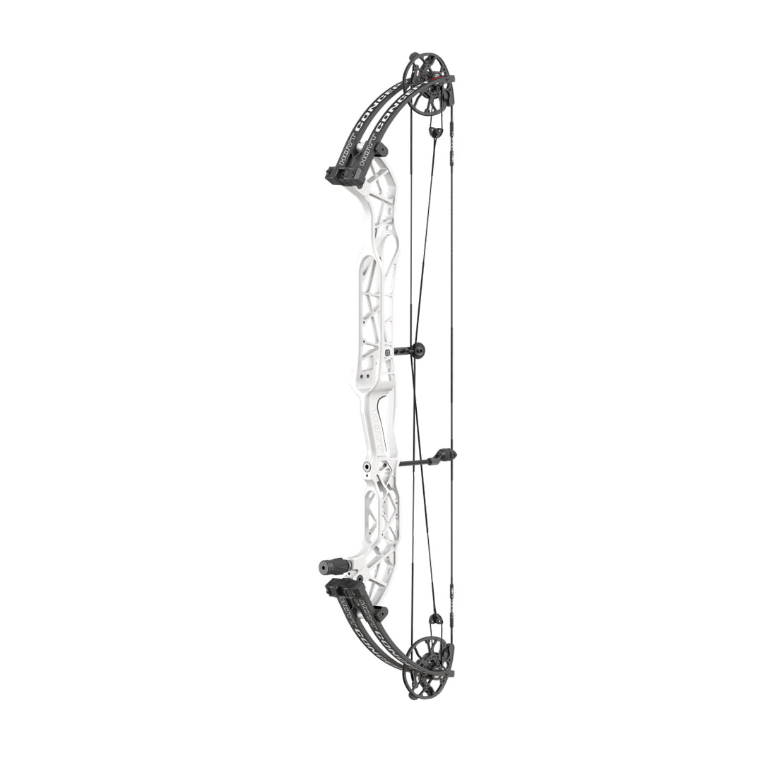 Hoyt Concept XTS 40 TDM-Mod Schwarze Wurfarme