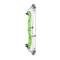 Hoyt Concept XTS 40 TDM-Mod Weiße Wurfarme