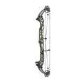 Hoyt Concept XTS 40 CDM-Mod Schwarze Wurfarme