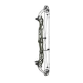 Hoyt Concept XTS 40 CDM-Mod Weiße Wurfarme