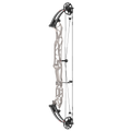 Hoyt Concept X 40 Compoundbogen - schwarze Wurfarme