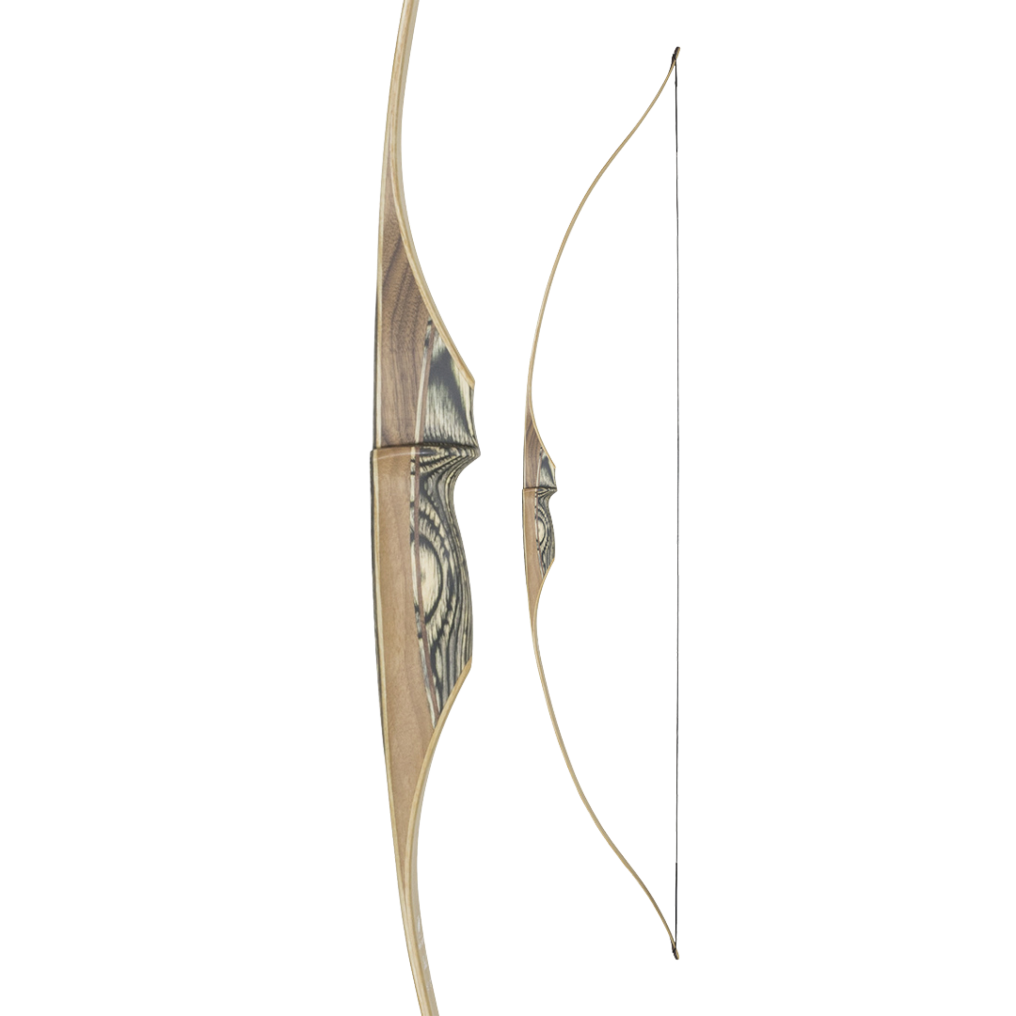 White Feather Petrel Clear